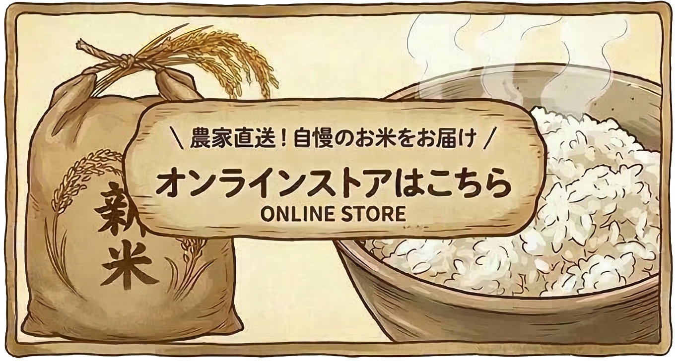 オンラインストアはこちら