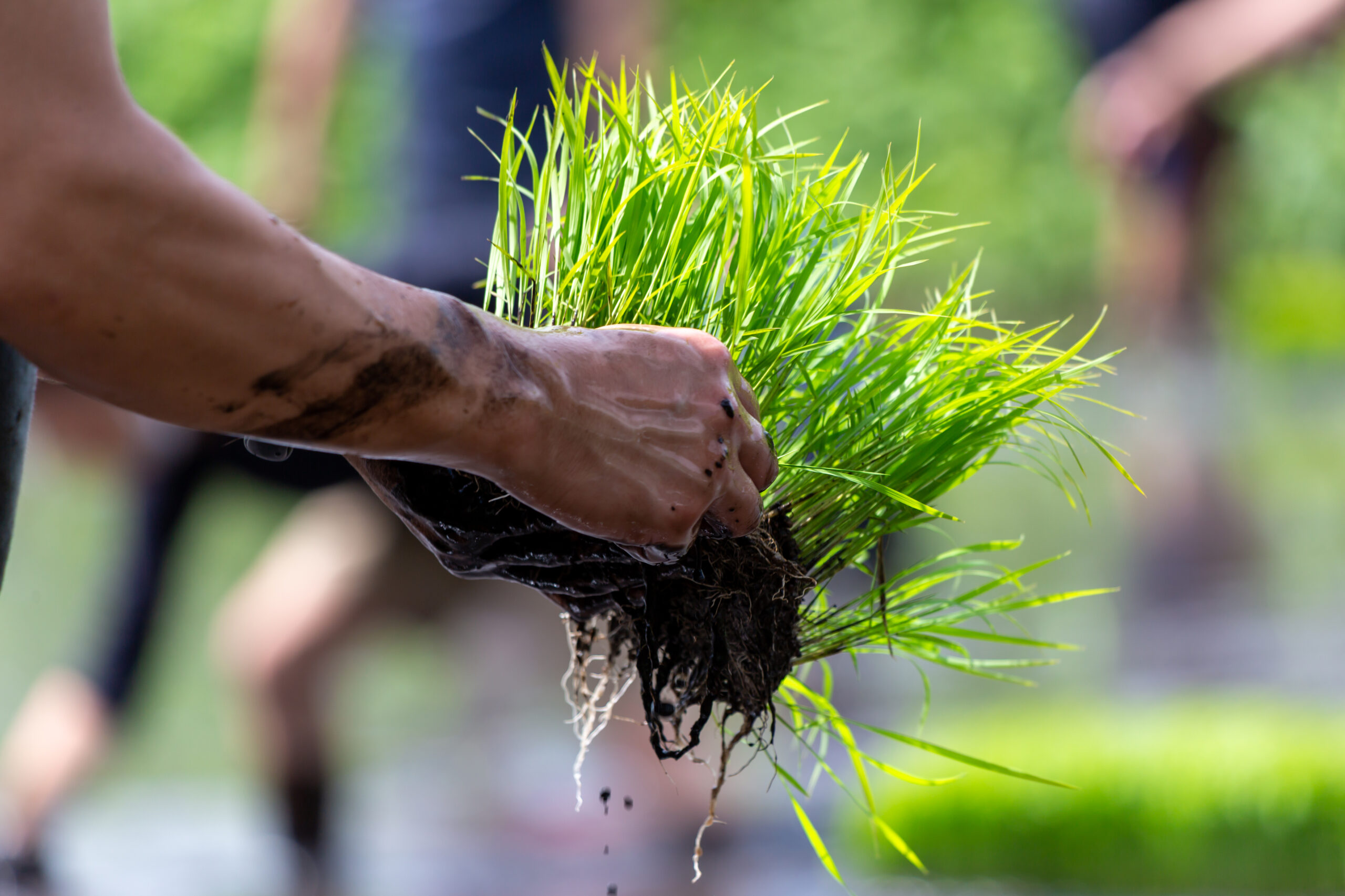 自然とともに働く