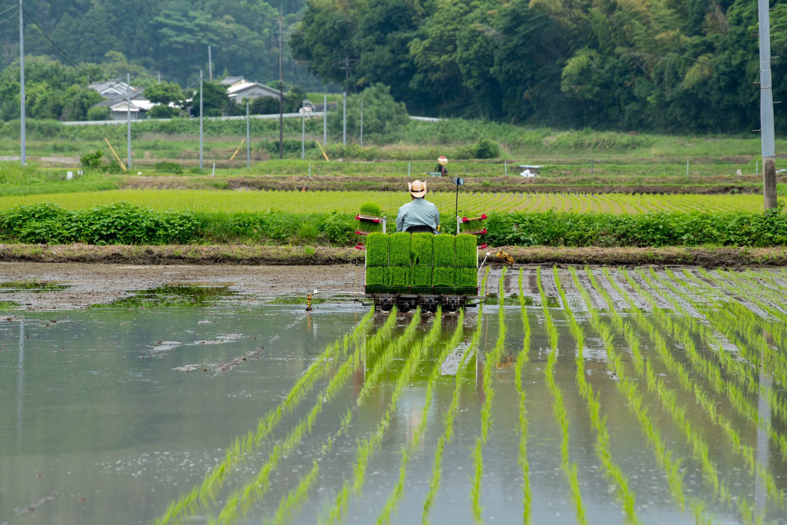挑戦を重ねて磨く米作り